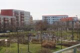 20190306161401_IMG_2216